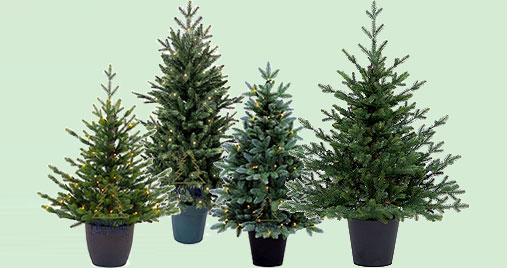 Mini alberi di Natale artificiali - diversi modelli e LED