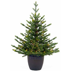 Mini POT Albero di Natale Artificiale - 100% PE - 70 Luci LED Calde - EU Plug - 90 cm