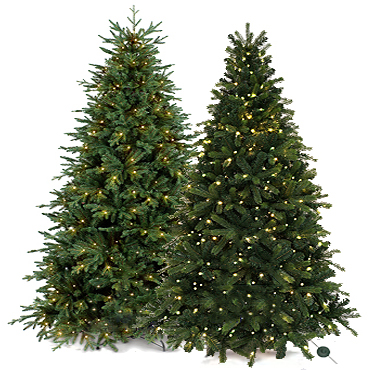 Premium PE / PVC Alberi di Natale Artificiale con smart LED - con Smart Adapter e App Royal Christmas per iOS e Android